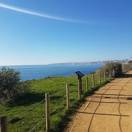 Nuevatorrequebrada *